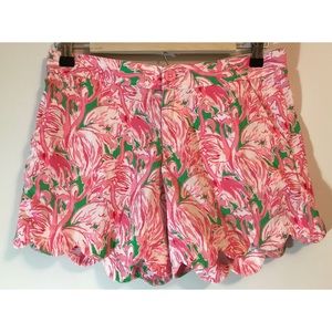 EUC Lilly Pulitzer buttercup shorts